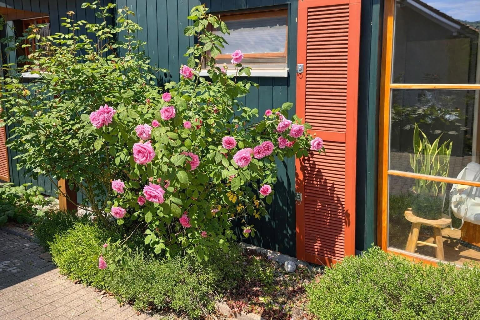 Predaj domu 147 m², pozemek 282 m², Angelbachtal, Bádensko-Wurttembersko Predaj domu 147 m², pozemek 282 m², Angelbachtal, Bádensko-Wurttembersko