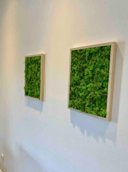 Prenájom bytu 3-izbový 52 m², Querenburgerstrasse 64, Bochum, Severné Porýnie - Westfálsko Prenájom bytu 3-izbový 52 m², Querenburgerstrasse 64, Bochum, Severné Porýnie - Westfálsko