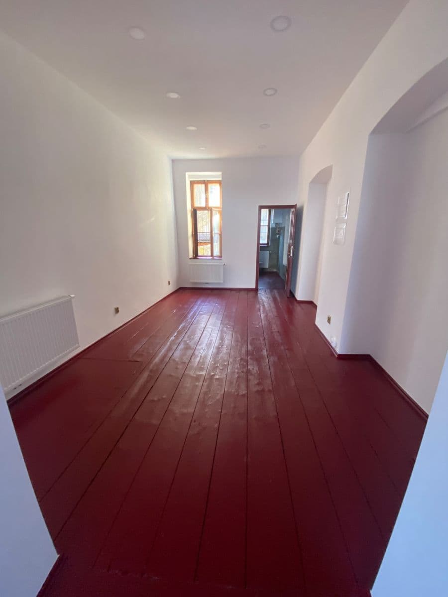 Prenájom nebytového priestoru 44 m², Borská, Plzeň, Plzeňský kraj Prenájom nebytového priestoru 44 m², Borská, Plzeň, Plzeňský kraj