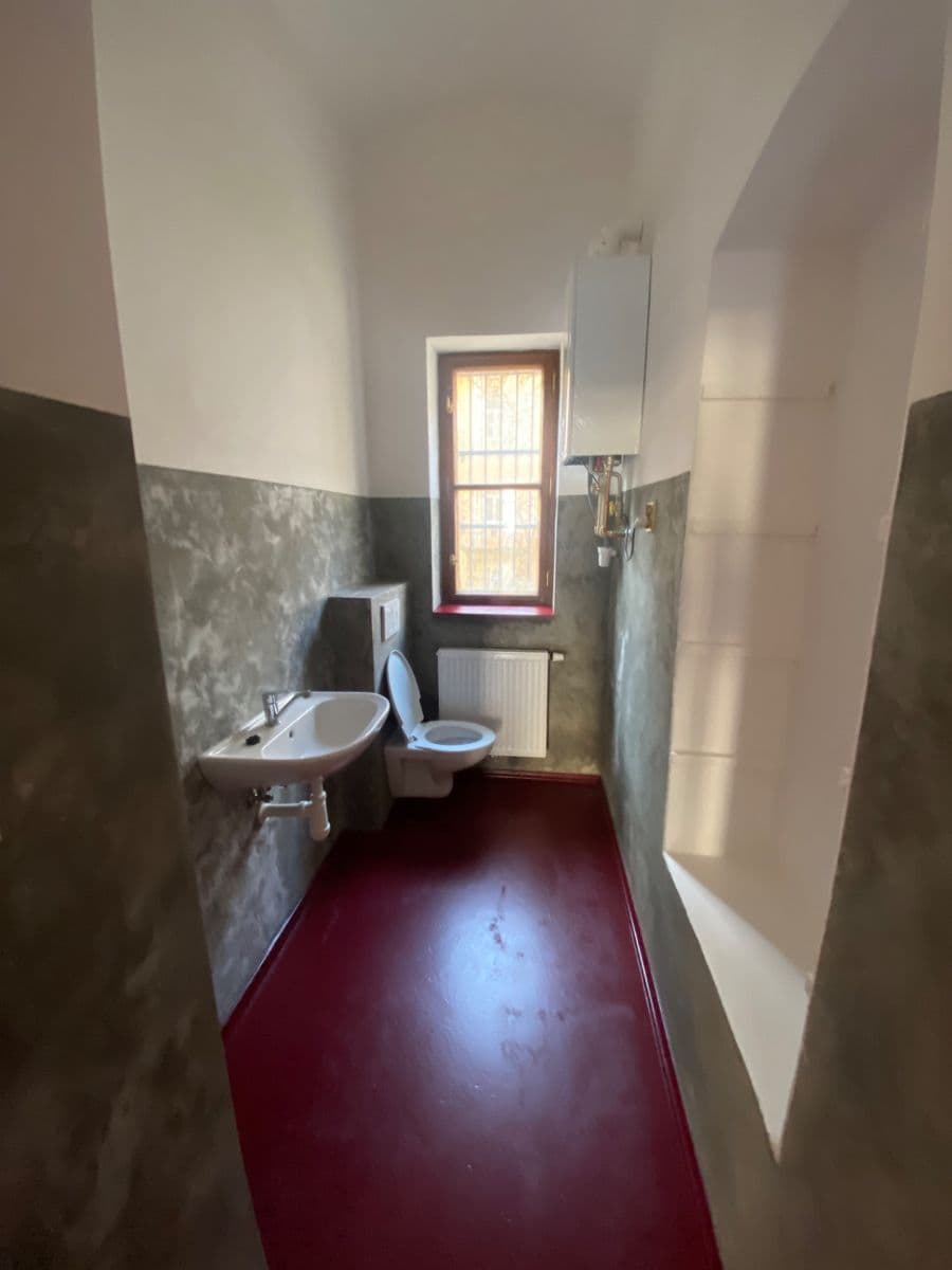 Prenájom nebytového priestoru 44 m², Borská, Plzeň, Plzeňský kraj Prenájom nebytového priestoru 44 m², Borská, Plzeň, Plzeňský kraj