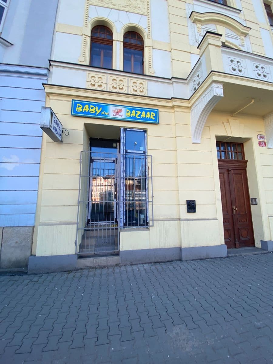 Prenájom nebytového priestoru 44 m², Borská, Plzeň, Plzeňský kraj Prenájom nebytového priestoru 44 m², Borská, Plzeň, Plzeňský kraj