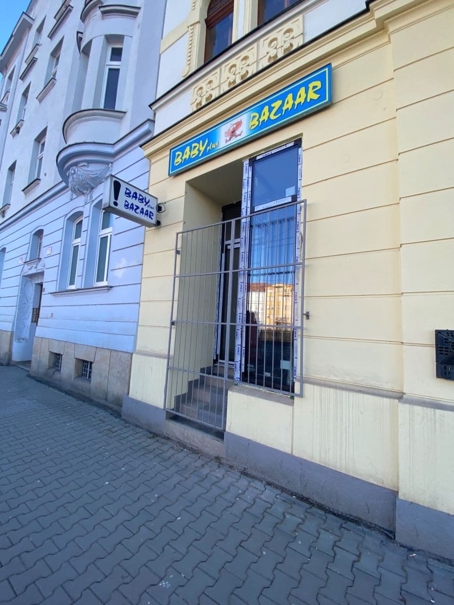 Prenájom nebytového priestoru 44 m², Borská, Plzeň, Plzeňský kraj Prenájom nebytového priestoru 44 m², Borská, Plzeň, Plzeňský kraj