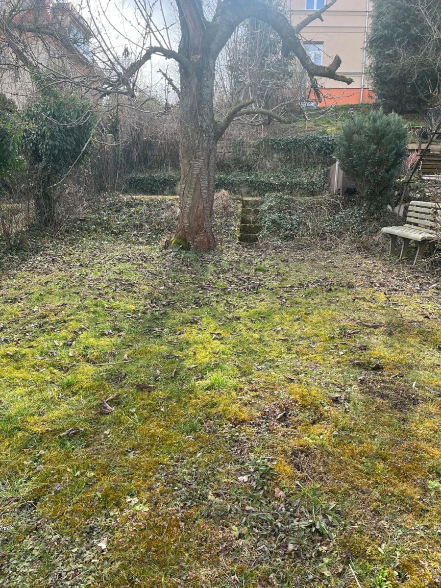 Prenájom bytu 2-izbový 50 m², V Břízkách, Praha, Praha Prenájom bytu 2-izbový 50 m², V Břízkách, Praha, Praha