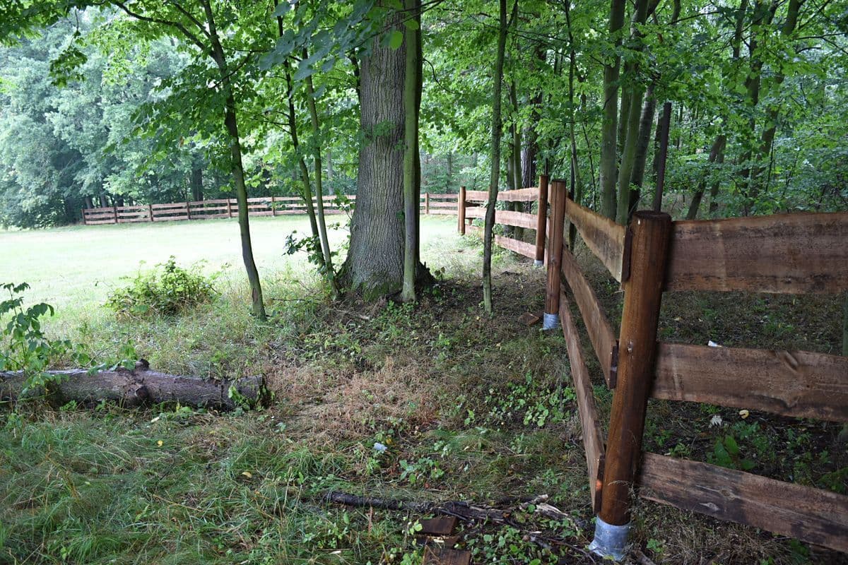 Predaj rekreačného objektu 50 m², pozemek 18.000 m², Heřmaničky, Středočeský kraj Predaj rekreačného objektu 50 m², pozemek 18.000 m², Heřmaničky, Středočeský kraj