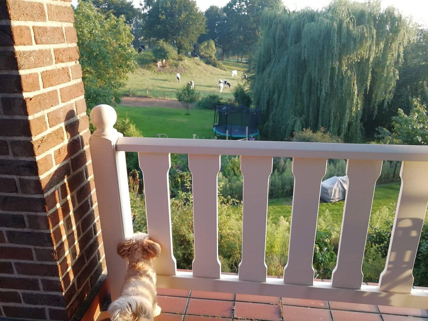 Predaj domu 378 m², pozemek 2.174 m², Nettetal, Severné Porýnie - Westfálsko Predaj domu 378 m², pozemek 2.174 m², Nettetal, Severné Porýnie - Westfálsko