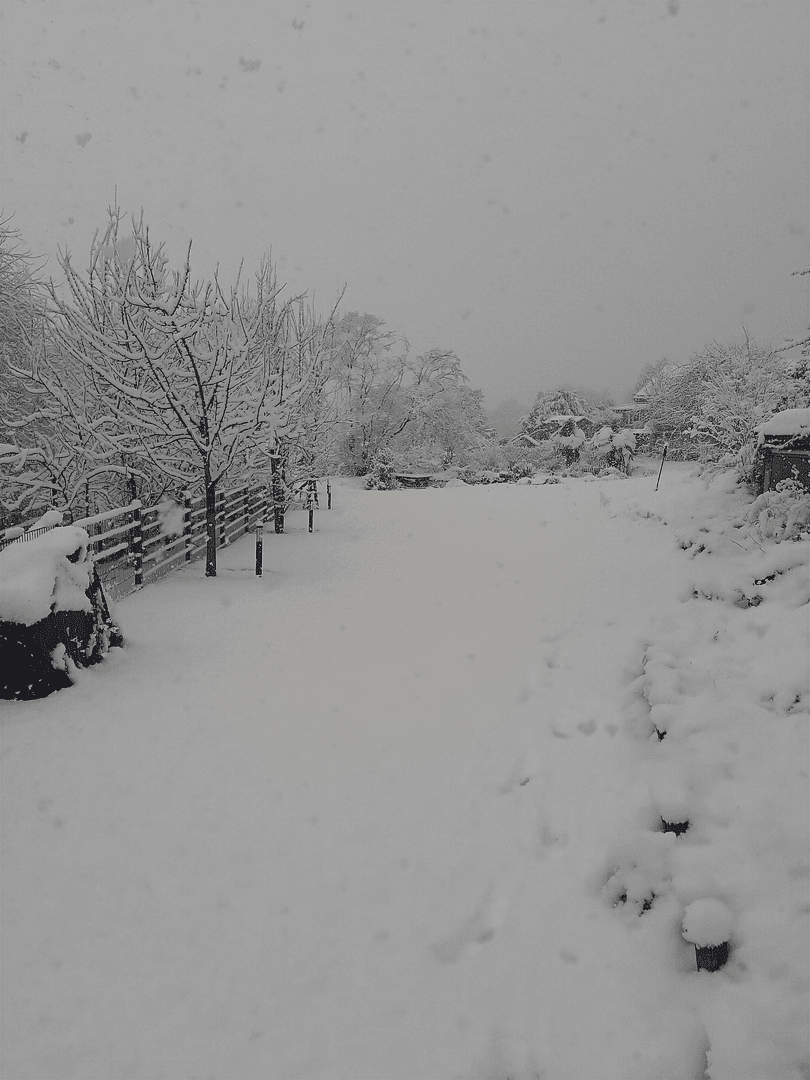 Predaj domu 378 m², pozemek 2.174 m², Nettetal, Severné Porýnie - Westfálsko Predaj domu 378 m², pozemek 2.174 m², Nettetal, Severné Porýnie - Westfálsko