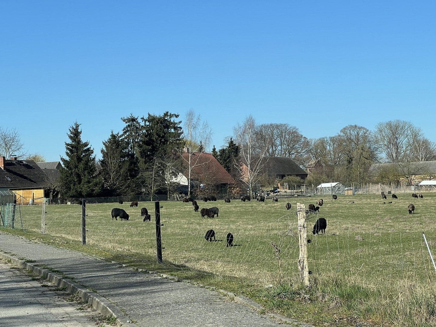 Predaj domu 156 m², pozemek 999 m², Medow, Meklenbursko-Predpomoransko Predaj domu 156 m², pozemek 999 m², Medow, Meklenbursko-Predpomoransko