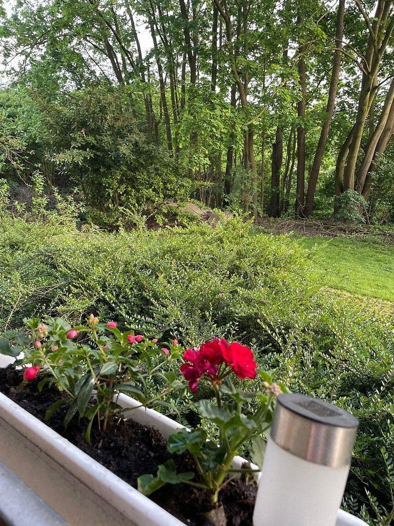 Prenájom bytu 2-izbový 45 m², Münster, Severné Porýnie - Westfálsko Prenájom bytu 2-izbový 45 m², Münster, Severné Porýnie - Westfálsko