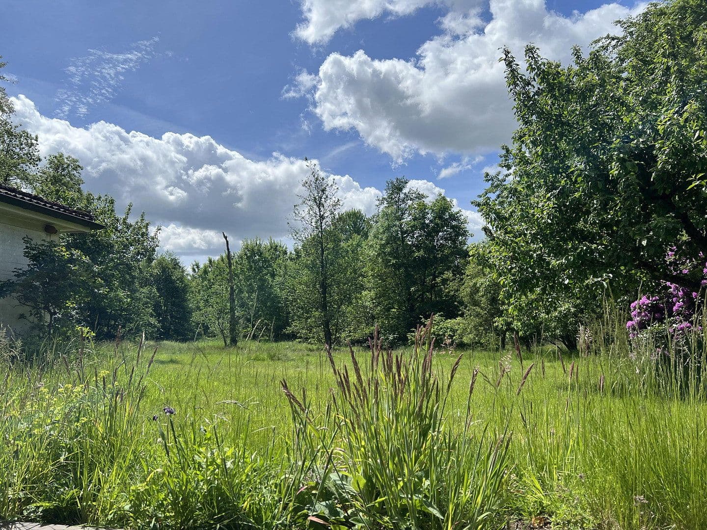 Predaj domu 168 m², pozemek 2.587 m², Leck, Šlezvicko-Holštajnsko Predaj domu 168 m², pozemek 2.587 m², Leck, Šlezvicko-Holštajnsko