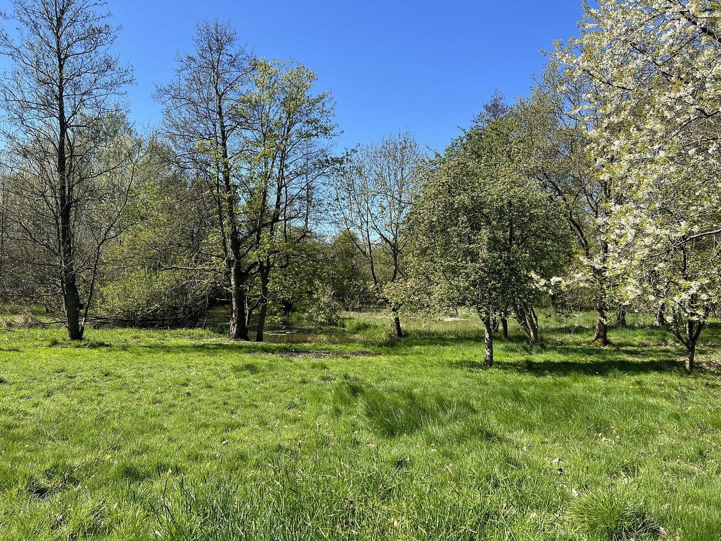 Predaj domu 168 m², pozemok 2.587 m², Leck, Šlezvicko-Holštajnsko Predaj domu 168 m², pozemok 2.587 m², Leck, Šlezvicko-Holštajnsko