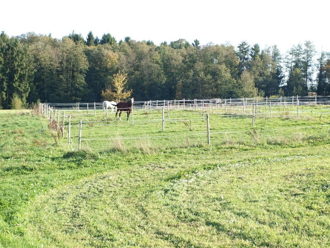 Predaj pozemku 46.000 m², Abtsgmünd, Bádensko-Wurttembersko Predaj pozemku 46.000 m², Abtsgmünd, Bádensko-Wurttembersko
