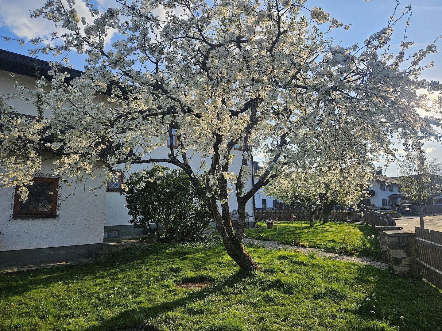 Predaj domu 209 m², pozemek 1.117 m², Frühlingstraße 8, Teisendorf, Bavorsko Predaj domu 209 m², pozemek 1.117 m², Frühlingstraße 8, Teisendorf, Bavorsko