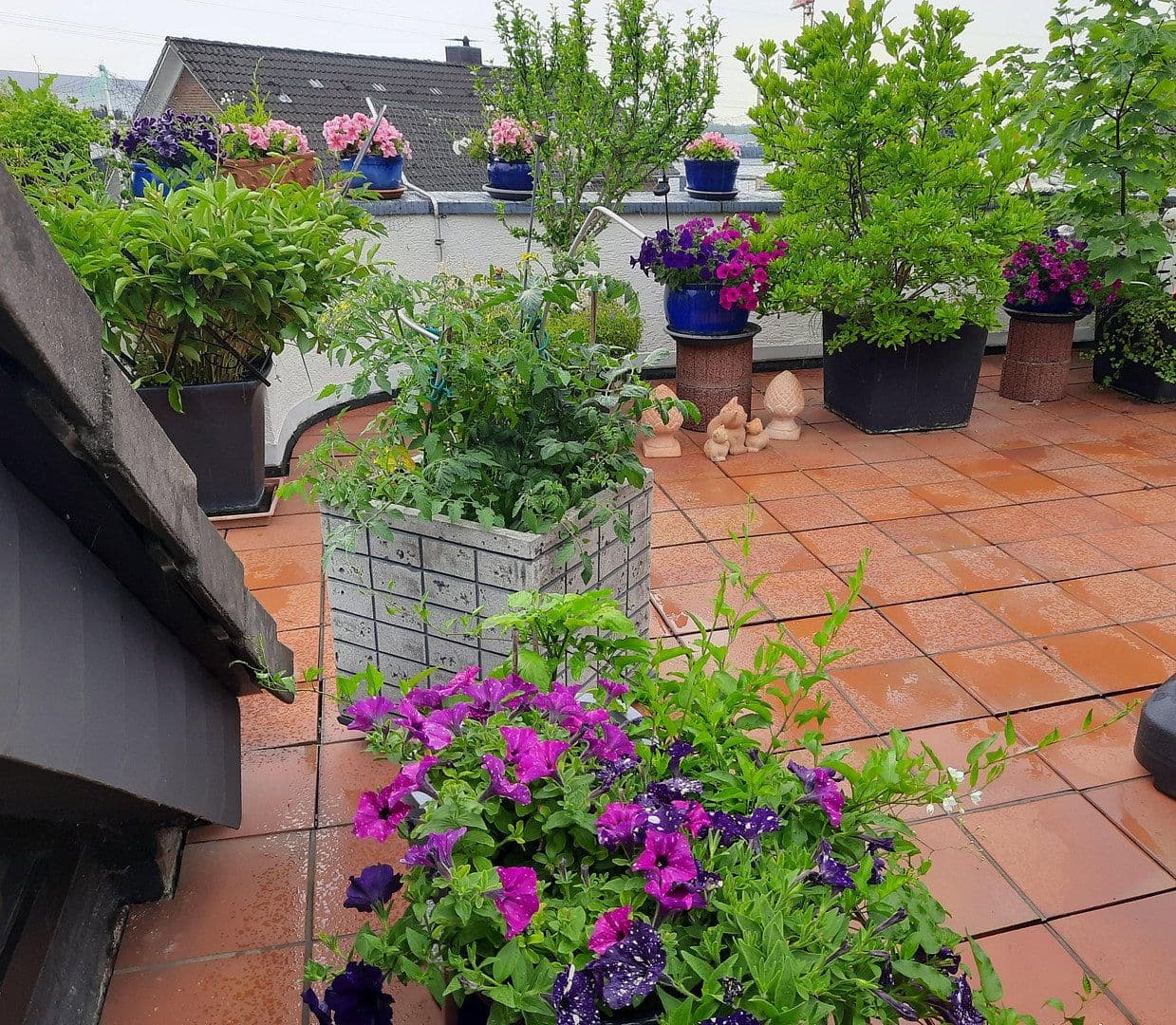 Predaj bytu 7-izbový 192 m², Bergisch Gladbach, Severné Porýnie - Westfálsko Predaj bytu 7-izbový 192 m², Bergisch Gladbach, Severné Porýnie - Westfálsko