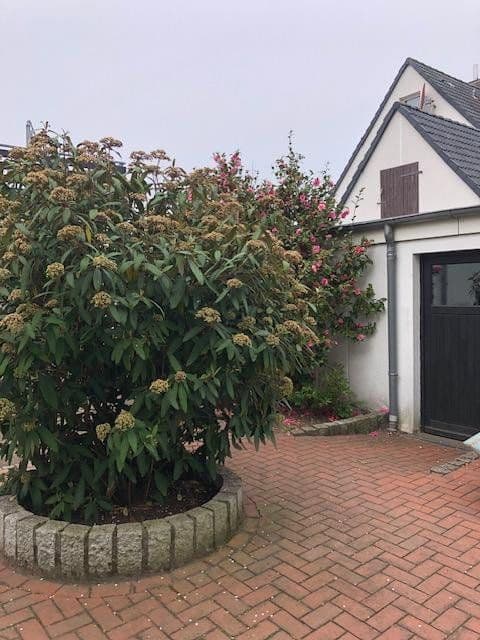 Predaj domu 135 m², pozemek 683 m², Hannover, Dolné Sasko Predaj domu 135 m², pozemek 683 m², Hannover, Dolné Sasko