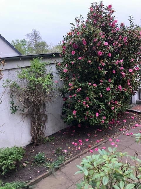 Predaj domu 135 m², pozemek 683 m², Hannover, Dolné Sasko Predaj domu 135 m², pozemek 683 m², Hannover, Dolné Sasko