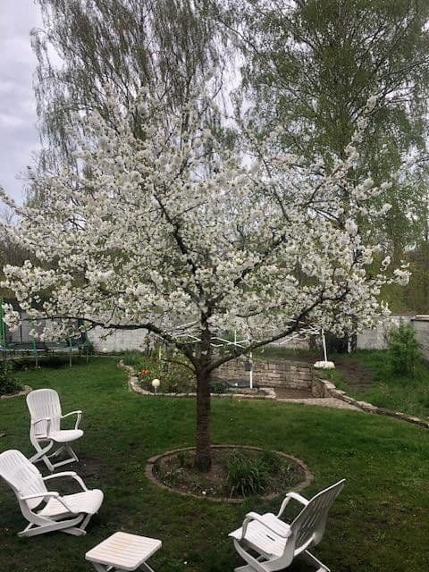 Predaj domu 135 m², pozemek 683 m², Hannover, Dolné Sasko Predaj domu 135 m², pozemek 683 m², Hannover, Dolné Sasko