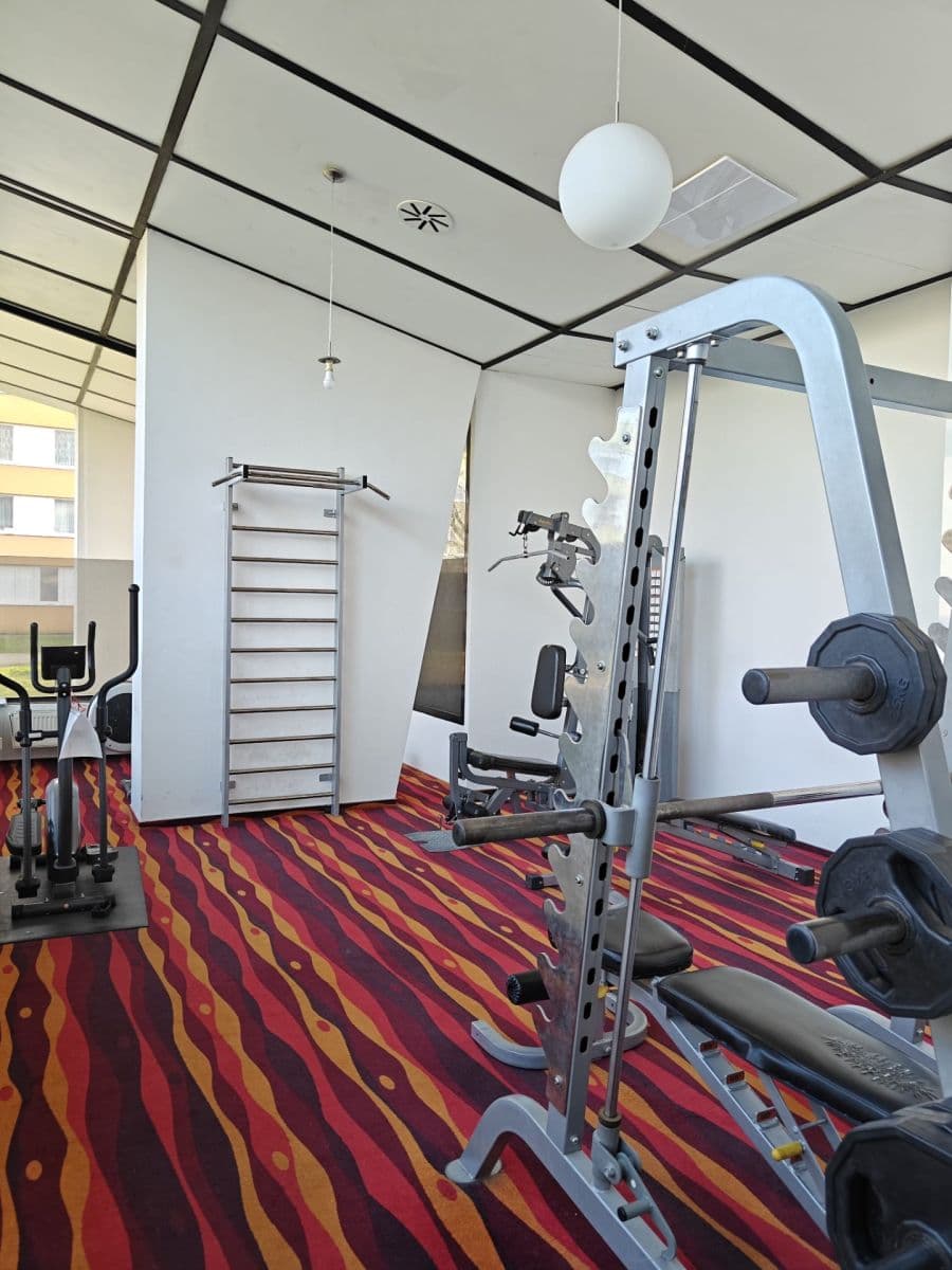 Prenájom bytu 1-izbový 16 m², Molákova, Praha, Praha Prenájom bytu 1-izbový 16 m², Molákova, Praha, Praha