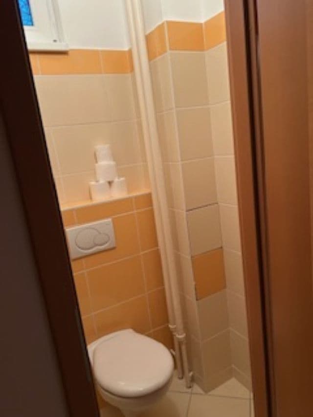 Prenájom bytu 4-izbový 90 m², Dětská, Praha, Praha Prenájom bytu 4-izbový 90 m², Dětská, Praha, Praha