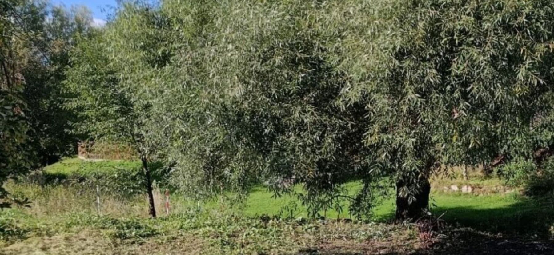 Predaj pozemku 550 m², Kryry, Ústecký kraj Predaj pozemku 550 m², Kryry, Ústecký kraj