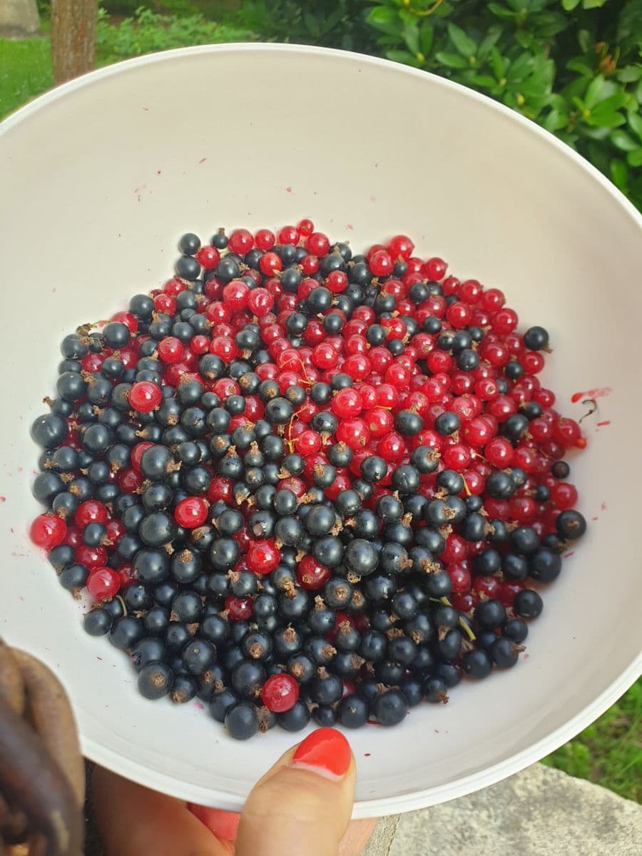 Predaj rekreačného objektu 49 m², pozemek 545 m², Polní, Chrustenice, Středočeský kraj Predaj rekreačného objektu 49 m², pozemek 545 m², Polní, Chrustenice, Středočeský kraj