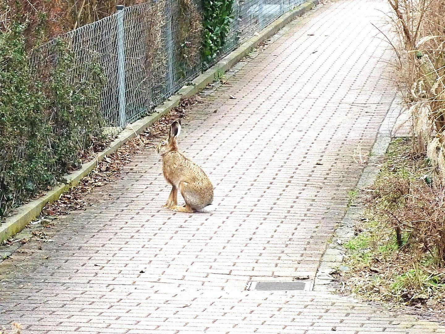 Prenájom bytu 3-izbový 76 m², Schlüsselfelder Str. 16a, Nürnberg, Bavorsko Prenájom bytu 3-izbový 76 m², Schlüsselfelder Str. 16a, Nürnberg, Bavorsko