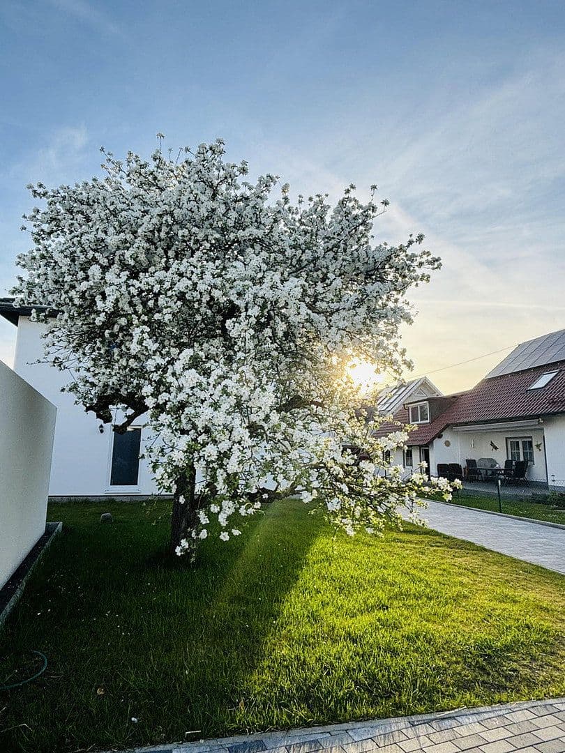 Prenájom domu 122 m², pozemek 400 m², Hurlacher Straße 28, Langerringen, Bavorsko Prenájom domu 122 m², pozemek 400 m², Hurlacher Straße 28, Langerringen, Bavorsko