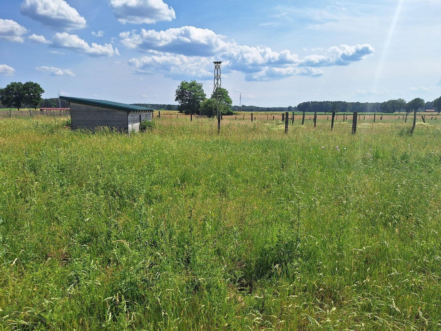 Predaj domu 245 m², pozemek 13.700 m², Wittingen, Dolné Sasko Predaj domu 245 m², pozemek 13.700 m², Wittingen, Dolné Sasko