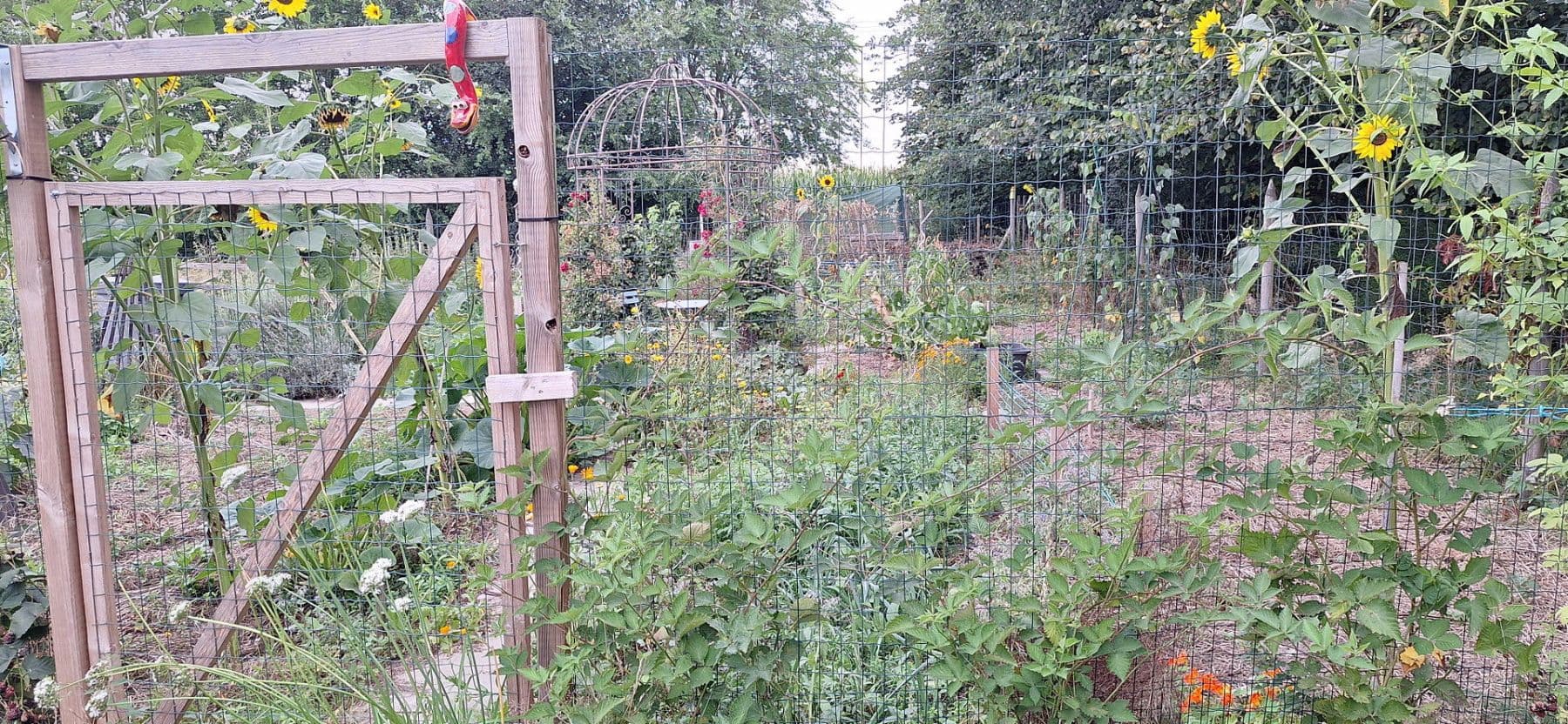 Predaj domu 245 m², pozemek 13.700 m², Wittingen, Dolné Sasko Predaj domu 245 m², pozemek 13.700 m², Wittingen, Dolné Sasko