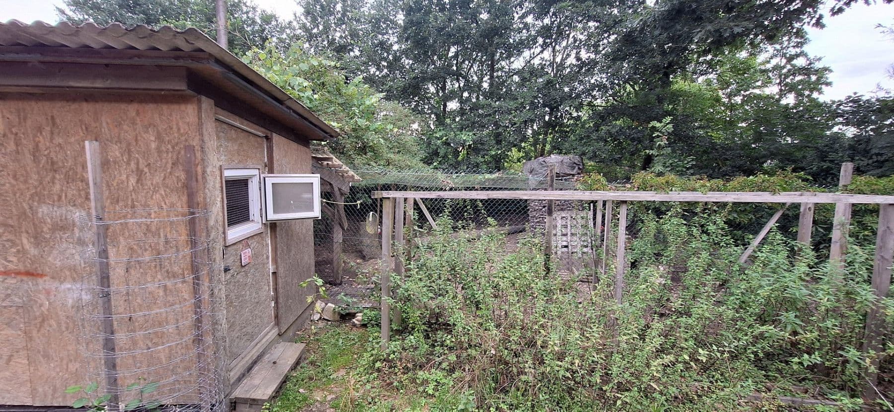 Predaj domu 245 m², pozemek 13.700 m², Wittingen, Dolné Sasko Predaj domu 245 m², pozemek 13.700 m², Wittingen, Dolné Sasko