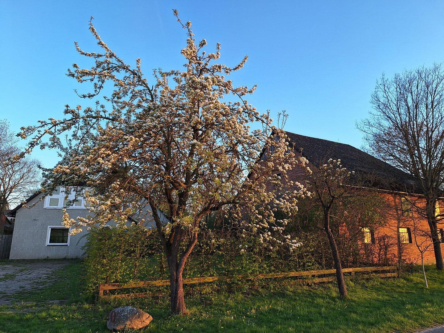 Predaj domu 245 m², pozemek 13.700 m², Wittingen, Dolné Sasko Predaj domu 245 m², pozemek 13.700 m², Wittingen, Dolné Sasko