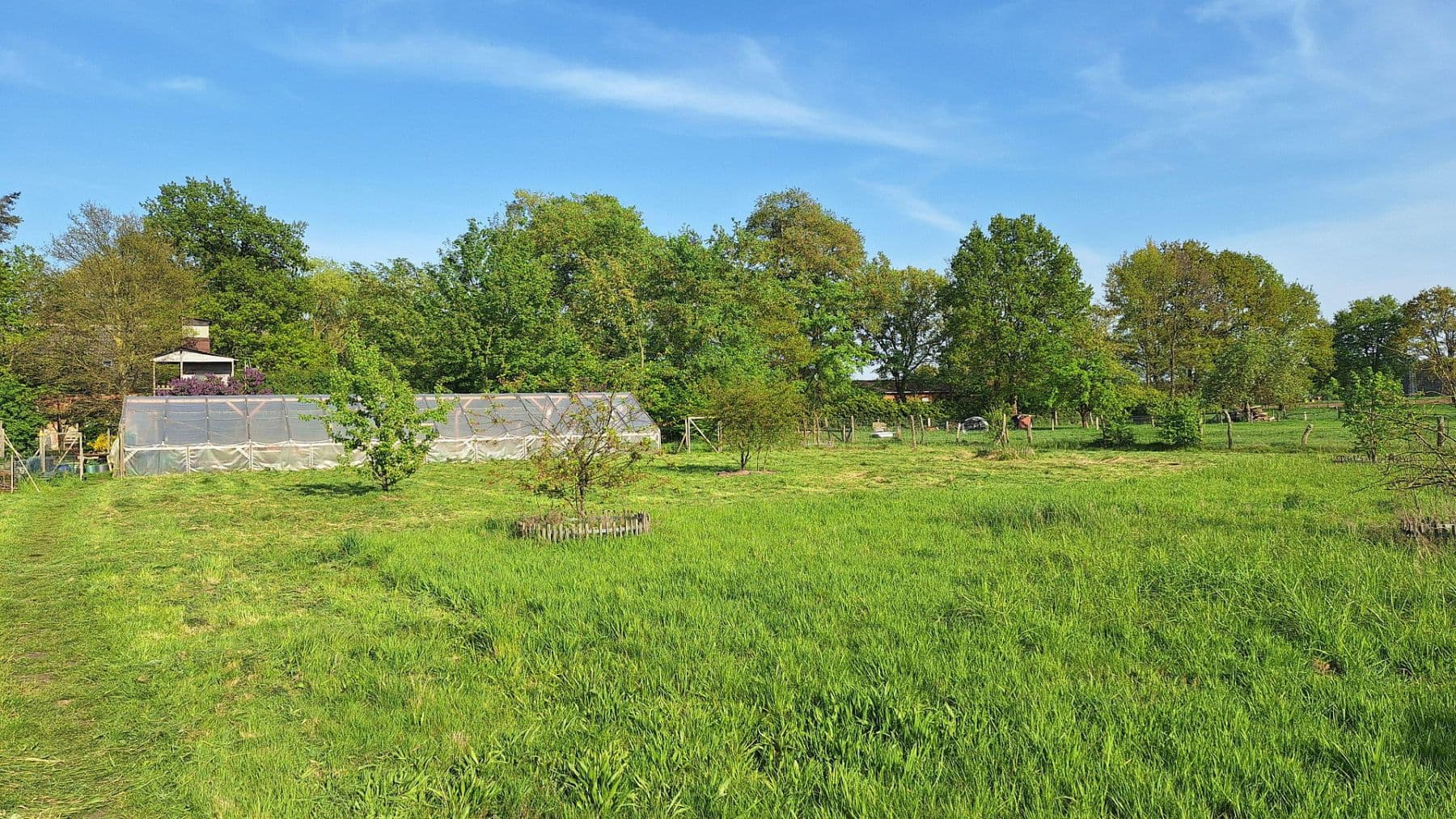 Predaj domu 245 m², pozemek 13.700 m², Wittingen, Dolné Sasko Predaj domu 245 m², pozemek 13.700 m², Wittingen, Dolné Sasko