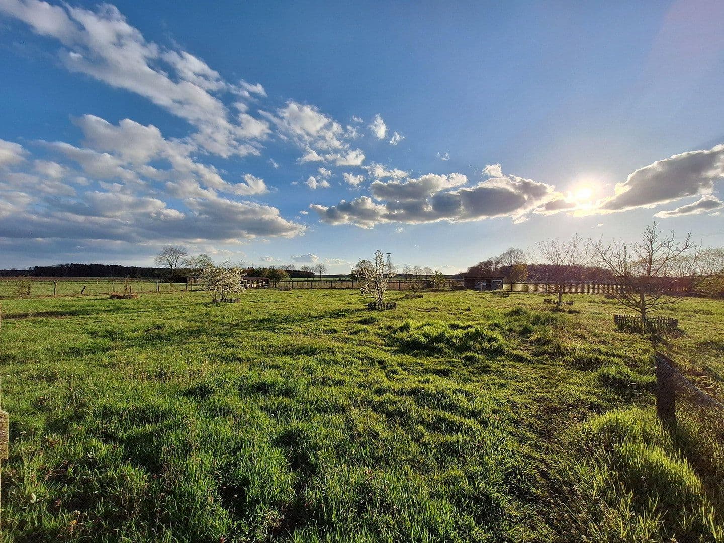 Predaj domu 245 m², pozemek 13.700 m², Wittingen, Dolné Sasko Predaj domu 245 m², pozemek 13.700 m², Wittingen, Dolné Sasko