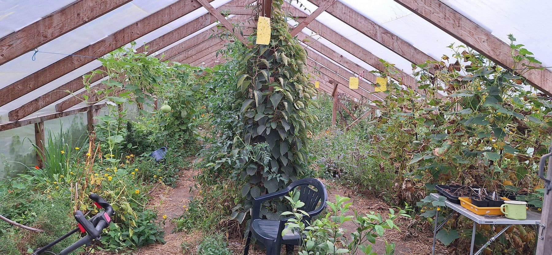 Predaj domu 245 m², pozemek 13.700 m², Wittingen, Dolné Sasko Predaj domu 245 m², pozemek 13.700 m², Wittingen, Dolné Sasko