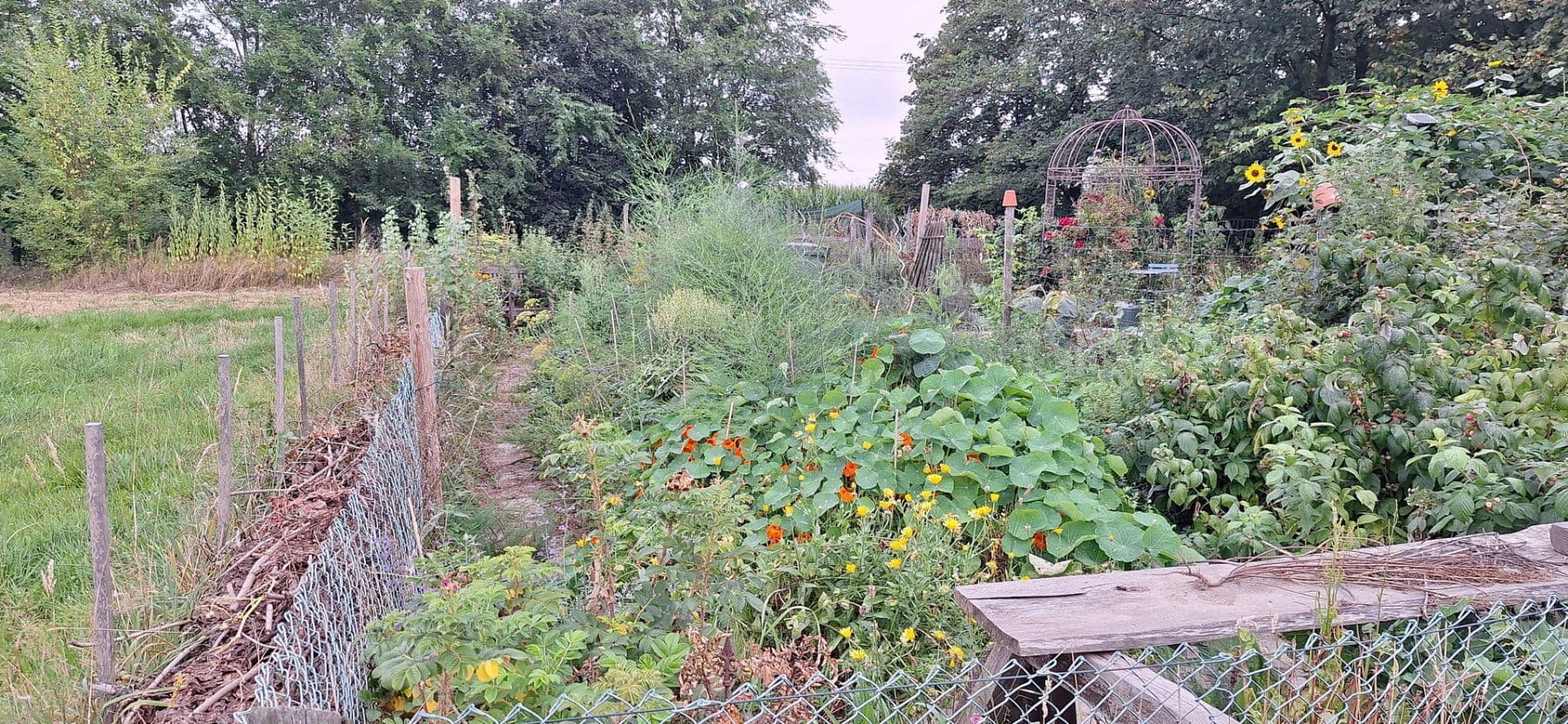 Predaj domu 245 m², pozemek 13.700 m², Wittingen, Dolné Sasko Predaj domu 245 m², pozemek 13.700 m², Wittingen, Dolné Sasko