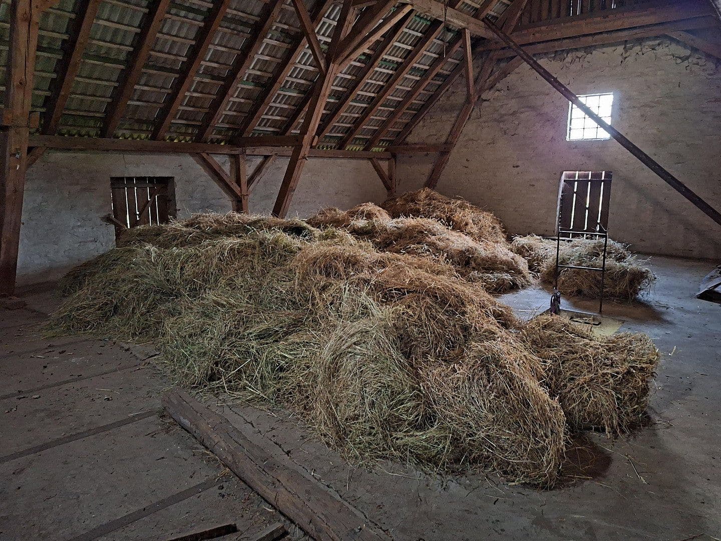 Predaj domu 245 m², pozemek 13.700 m², Wittingen, Dolné Sasko Predaj domu 245 m², pozemek 13.700 m², Wittingen, Dolné Sasko