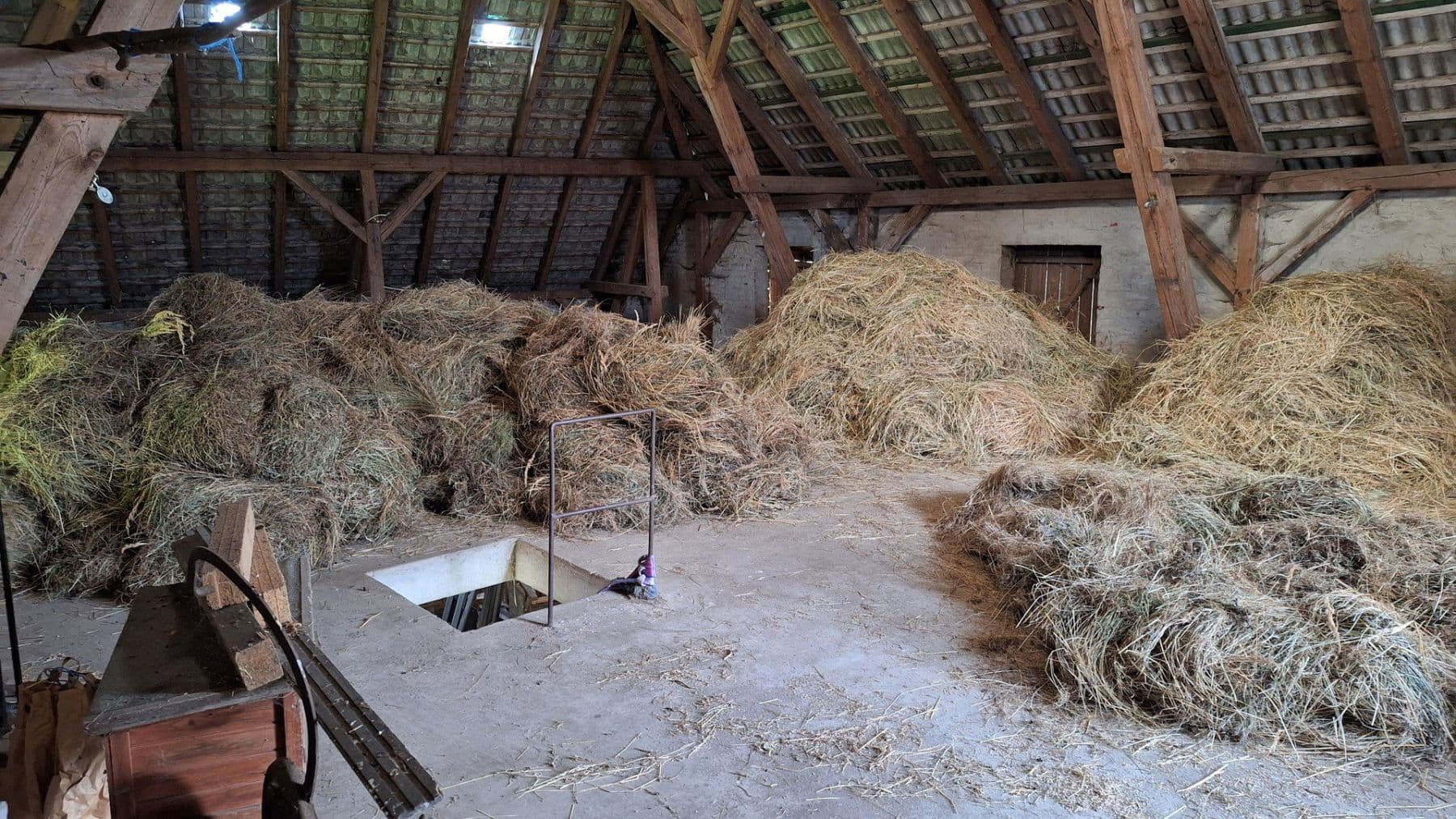 Predaj domu 245 m², pozemek 13.700 m², Wittingen, Dolné Sasko Predaj domu 245 m², pozemek 13.700 m², Wittingen, Dolné Sasko