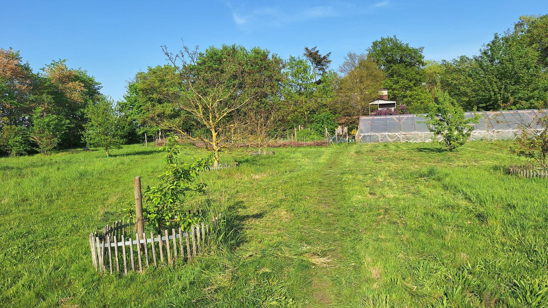 Predaj domu 245 m², pozemek 13.700 m², Wittingen, Dolné Sasko Predaj domu 245 m², pozemek 13.700 m², Wittingen, Dolné Sasko