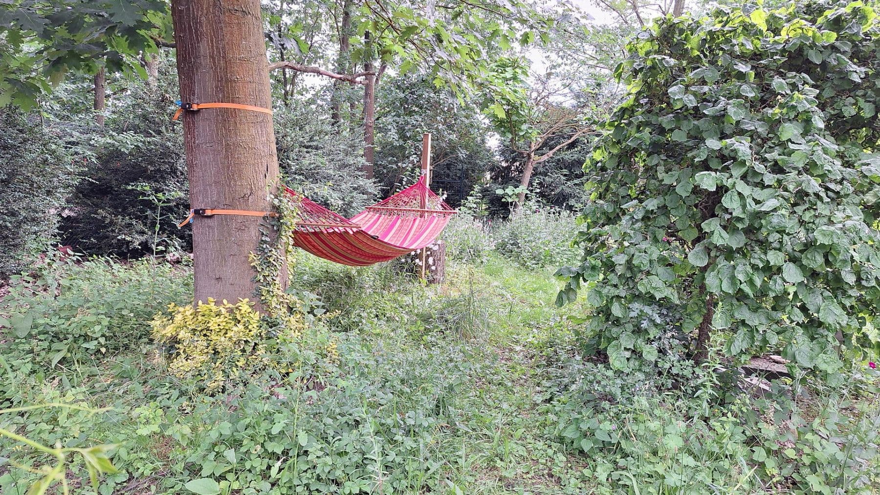 Predaj domu 245 m², pozemek 13.700 m², Wittingen, Dolné Sasko Predaj domu 245 m², pozemek 13.700 m², Wittingen, Dolné Sasko