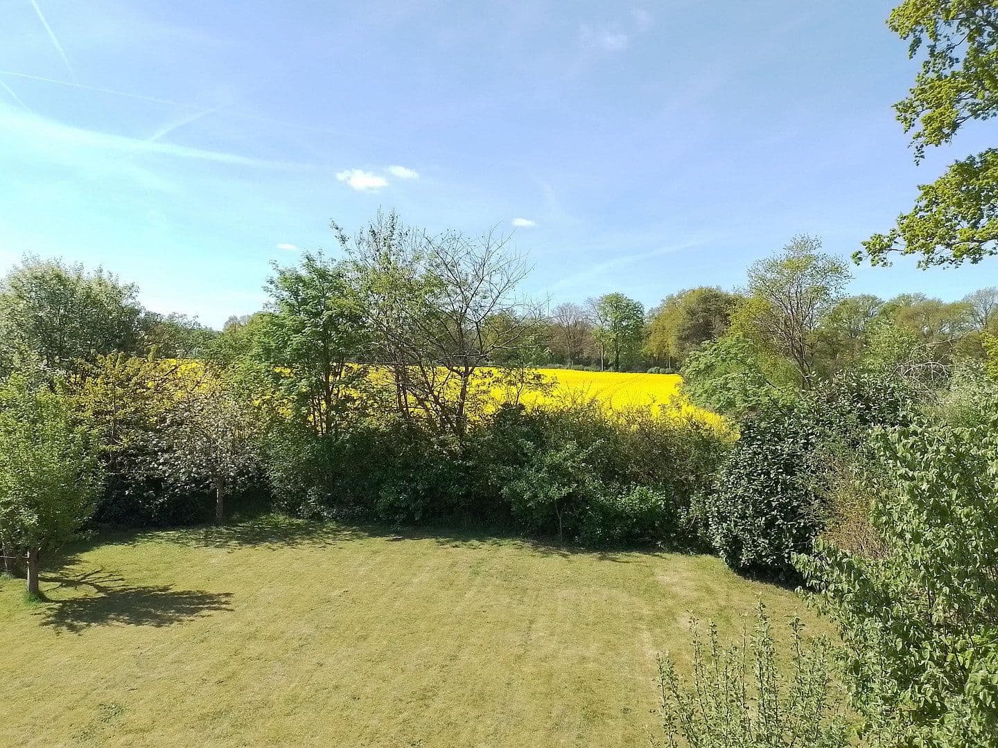 Predaj domu 141 m², pozemek 800 m², Jersbek, Šlezvicko-Holštajnsko Predaj domu 141 m², pozemek 800 m², Jersbek, Šlezvicko-Holštajnsko