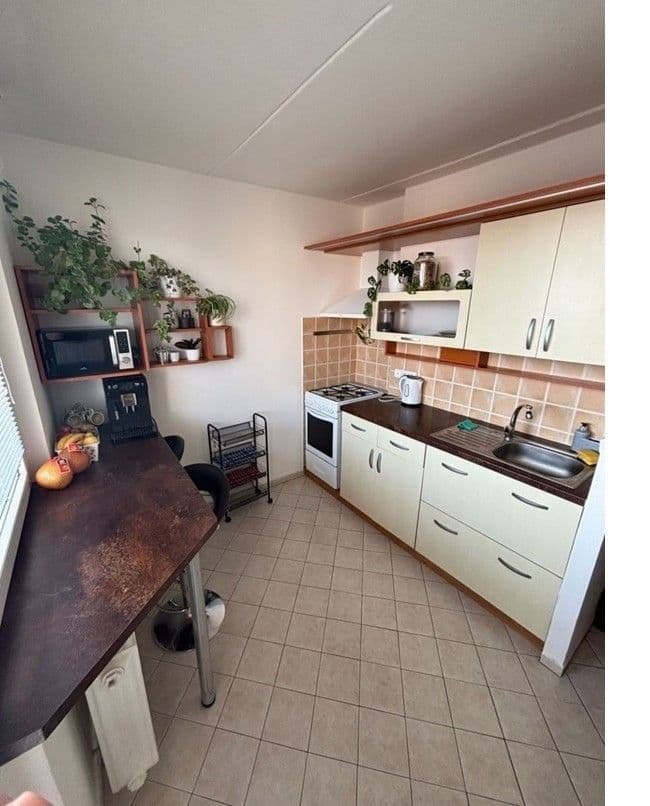 Prenájom bytu 1-izbový 32 m², Hraniční, Olomouc, Olomoucký kraj Prenájom bytu 1-izbový 32 m², Hraniční, Olomouc, Olomoucký kraj