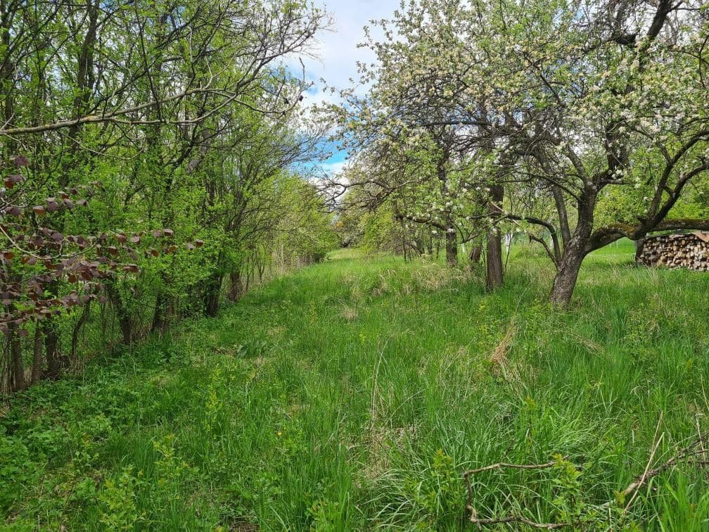 Predaj domu 60 m², pozemek 3.106 m², Štefánikova, Bojkovice, Zlínský kraj Predaj domu 60 m², pozemek 3.106 m², Štefánikova, Bojkovice, Zlínský kraj