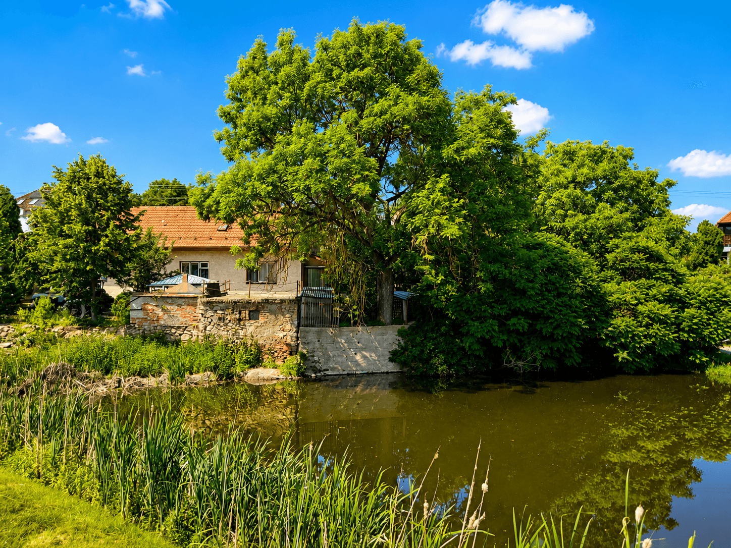 Predaj domu 94 m², pozemek 427 m², Vidonín, Kraj Vysočina Predaj domu 94 m², pozemek 427 m², Vidonín, Kraj Vysočina