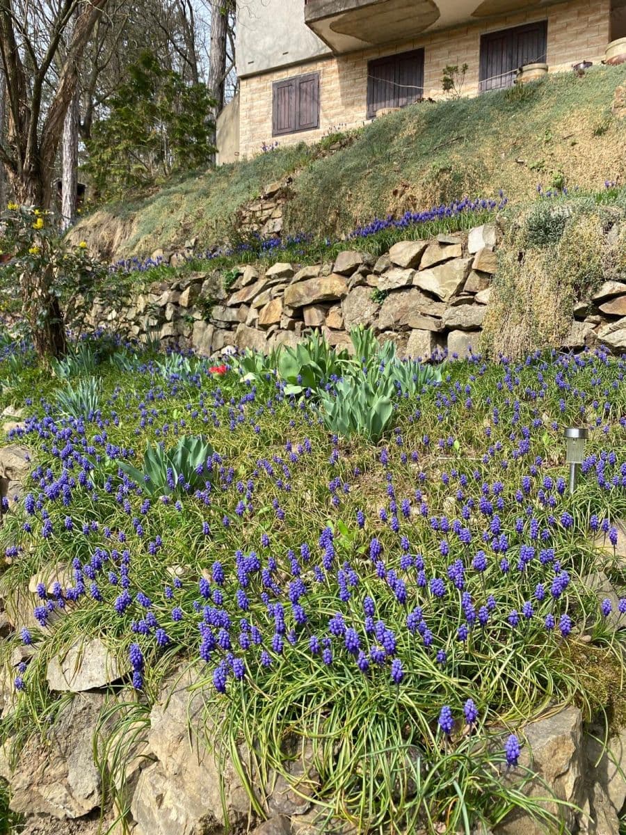 Predaj rekreačného objektu 48 m², pozemek 1.156 m², V Podskalí, Zadní Třebaň, Středočeský kraj Predaj rekreačného objektu 48 m², pozemek 1.156 m², V Podskalí, Zadní Třebaň, Středočeský kraj