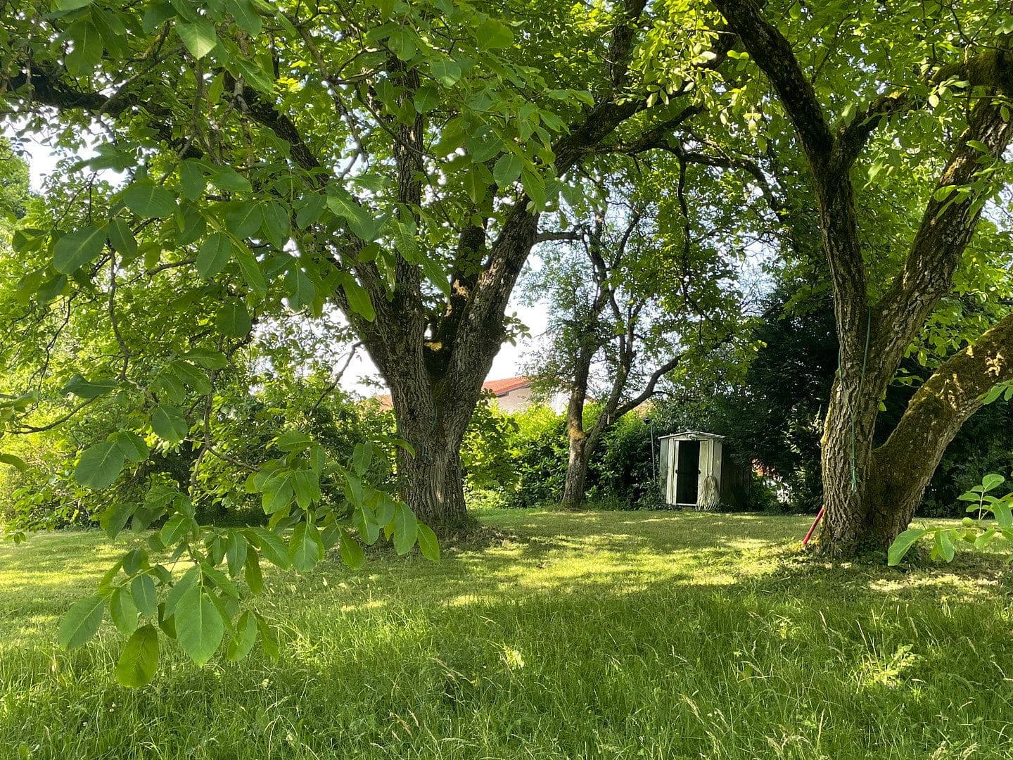 Predaj domu 214 m², pozemok 5.755 m², Gersheim, Sársko Predaj domu 214 m², pozemok 5.755 m², Gersheim, Sársko
