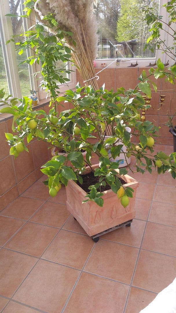 Predaj domu 214 m², pozemek 8.000 m², Gersheim, Sársko Predaj domu 214 m², pozemek 8.000 m², Gersheim, Sársko