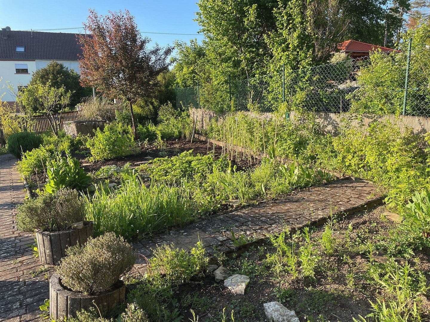 Predaj domu 214 m², pozemek 8.000 m², Gersheim, Sársko Predaj domu 214 m², pozemek 8.000 m², Gersheim, Sársko