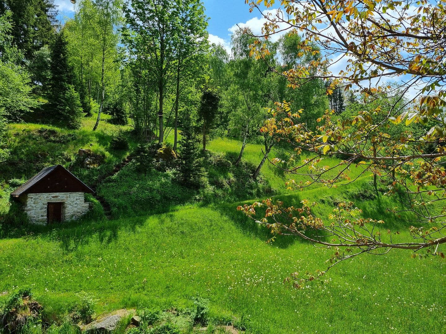 Predaj domu 175 m², pozemek 9.362 m², St. Martin, Dolné Rakúsko Predaj domu 175 m², pozemek 9.362 m², St. Martin, Dolné Rakúsko