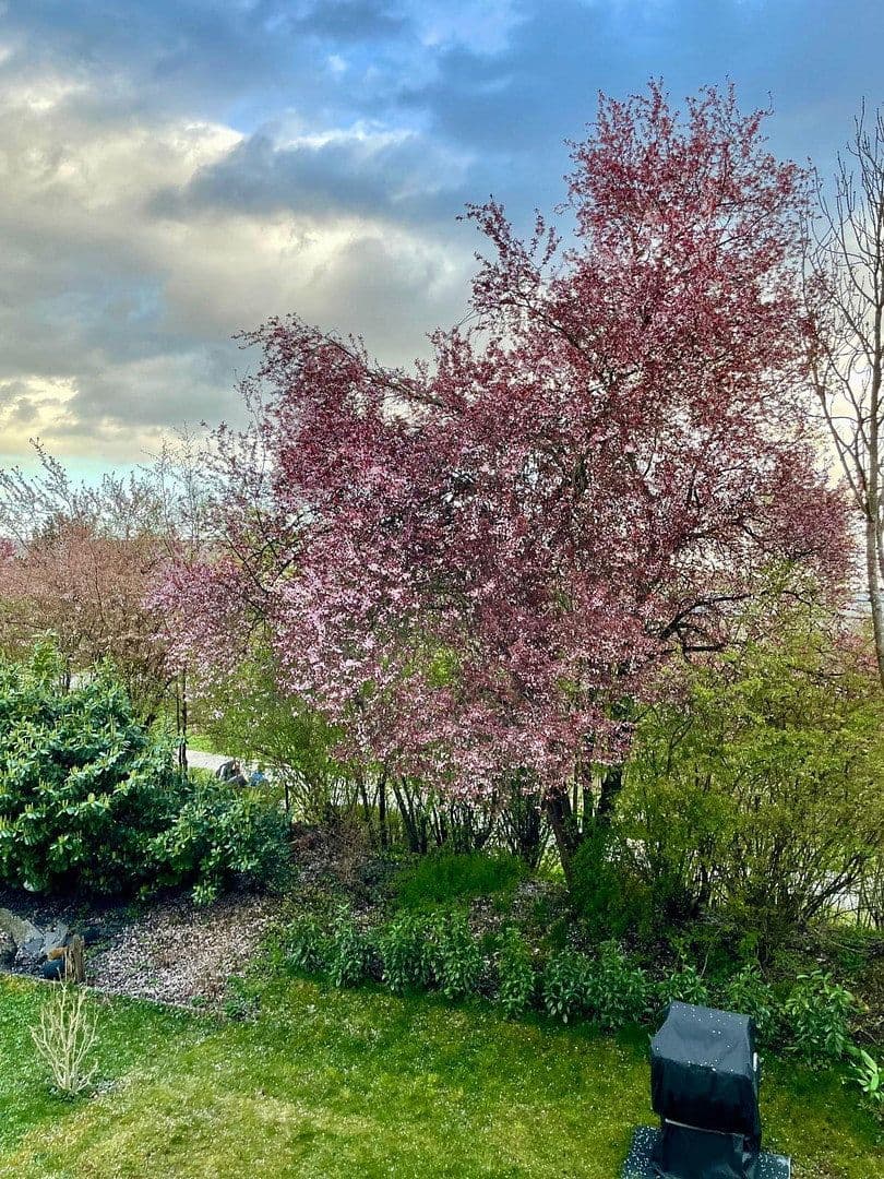 Predaj bytu 3-izbový 79 m², Max-Eyth-Str. 36, Pleidelsheim, Bádensko-Wurttembersko Predaj bytu 3-izbový 79 m², Max-Eyth-Str. 36, Pleidelsheim, Bádensko-Wurttembersko