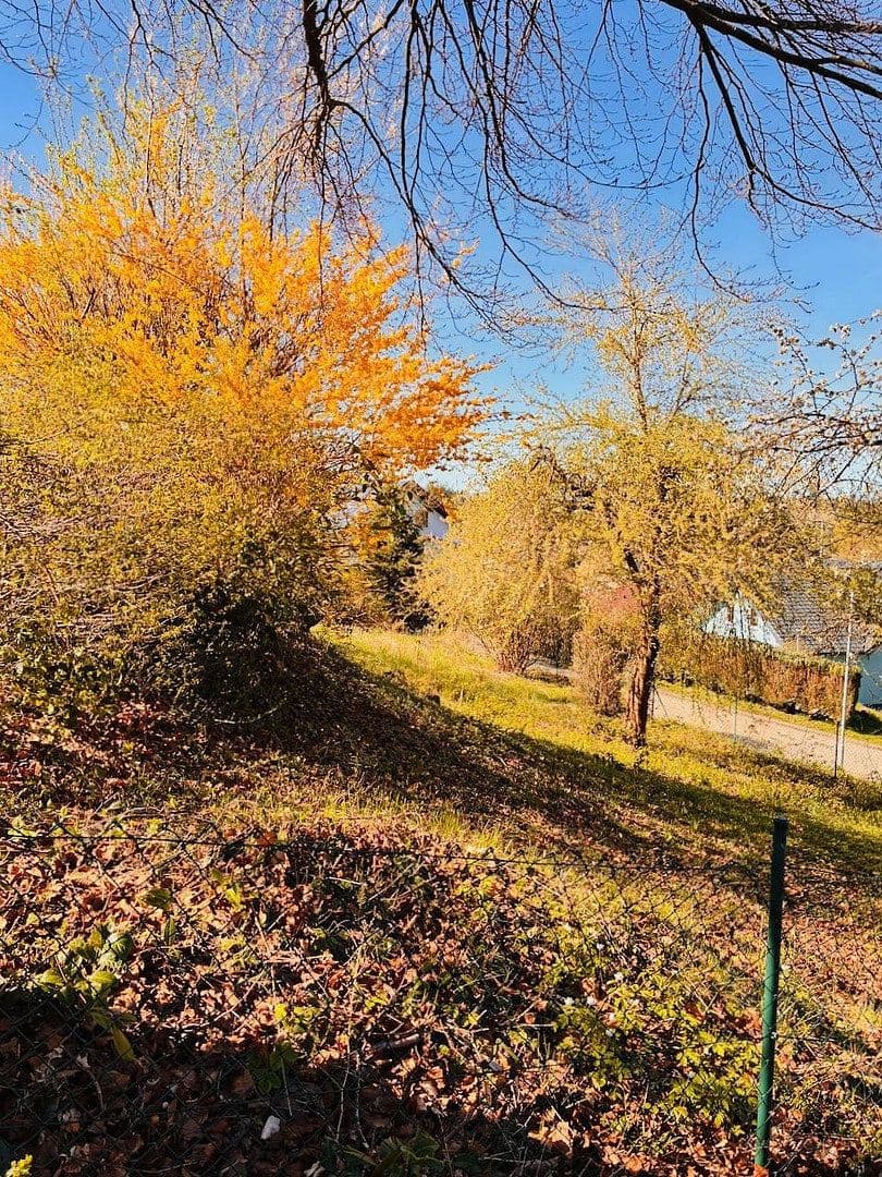 Predaj domu 170 m², pozemek 1.474 m², Schönbrunn, Bádensko-Wurttembersko Predaj domu 170 m², pozemek 1.474 m², Schönbrunn, Bádensko-Wurttembersko