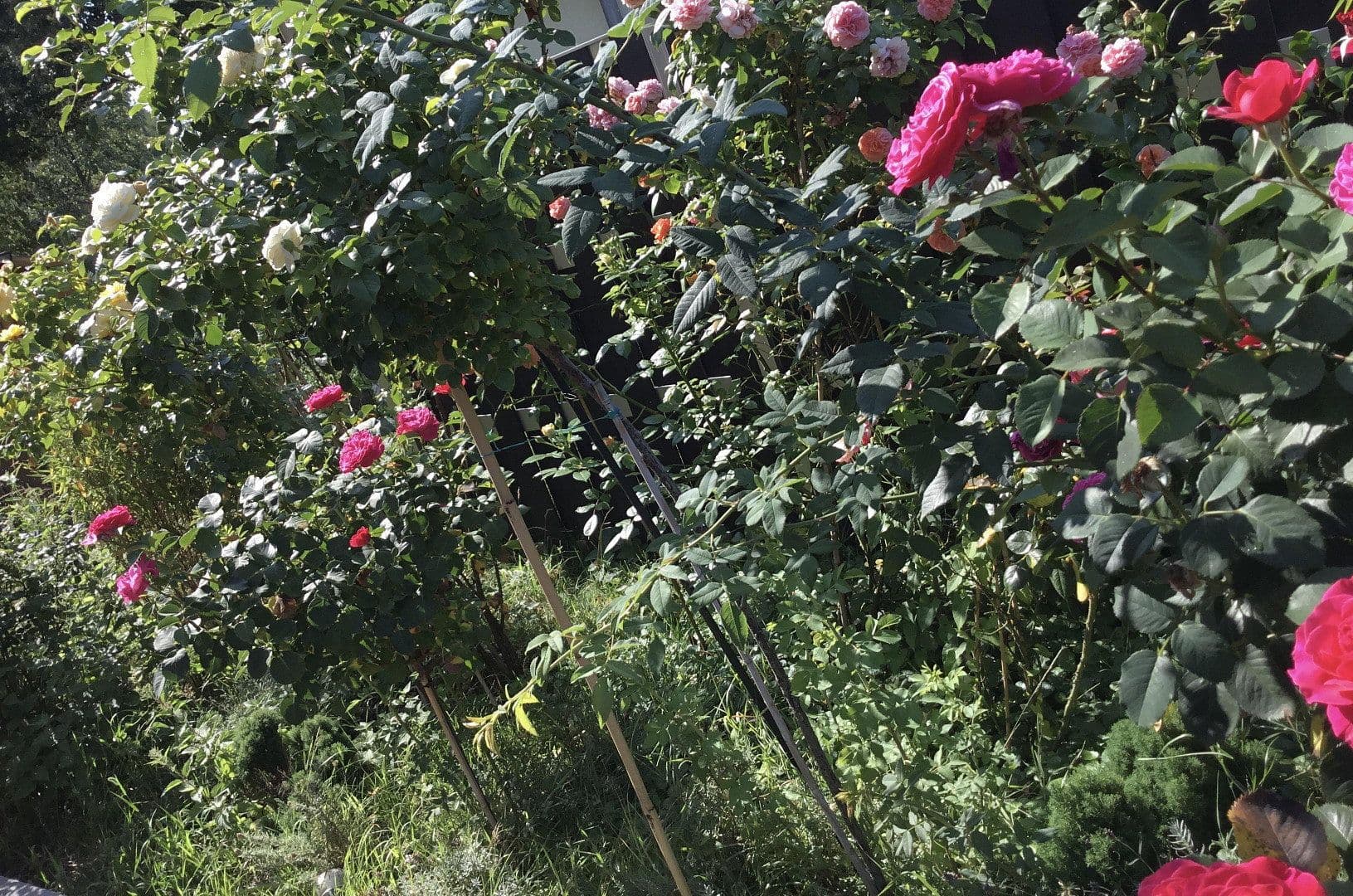 Predaj domu 324 m², pozemek 1.787 m², Potsdam, Brandenbursko Predaj domu 324 m², pozemek 1.787 m², Potsdam, Brandenbursko